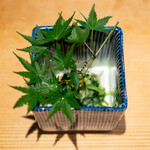 日本料理 楽心 - 夏のぬた和え 胡瓜、 あさつき、 蒟蒻、 枇杷、 剣先烏賊、 酢味噌で和えて、 和辛子