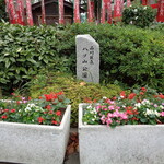 ラーメン二郎 - 寒いのにお花は頑張って咲いてるね