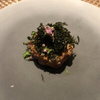 ポンドールイノ - 