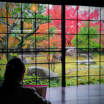 花ひとえ - 見てください！絶景の庭園です！