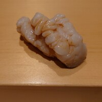 鮨 はしもと - 北寄貝（北海道網走）