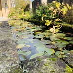 魚菜料理 縄屋 - 外観3