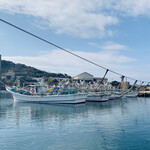 魚菜料理 縄屋 - 【オマケ】
      間人蟹漁を許可されている5隻の漁船-2