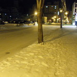 Sari No Tomato - 涼しさをお届けする雪景色。（お店の前の道路です。）