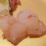 鮨 さかい - (06)牡丹海老(北海道増毛産)
      牡丹海老の産卵期は秋～春、旬も包卵する秋～春。
      牡丹海老は旬真っ只中、ネットリとした食感、身の甘みはしっかり。