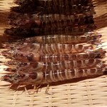 鮨 さかい - (18)車海老(熊本県天草産、養殖)
      産卵期は初夏～初秋、旬は初夏～初秋。
      奥の厨房で茹でたての温かい車海老。
      お弟子さんが熱々を一生懸命剥きます。