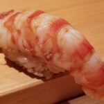 鮨 さかい - (18)車海老(熊本県天草産、養殖)
      寒くなるとサイズが揃い難くなるので養殖
      車海老はぷりぷり、温かなシャリがググッと沈み込みます
      車海老の華やかな甘みと旨味が押し寄せます。