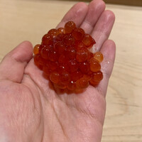 江戸前鮓 すし通 - いくら