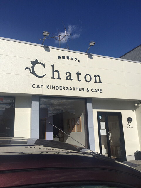 保護猫カフェ シャトン Chaton 大門 その他 食べログ 保護猫カフェ シャトン Chaton 大門 その他 食べログ