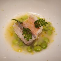 レフェルヴェソンス - 