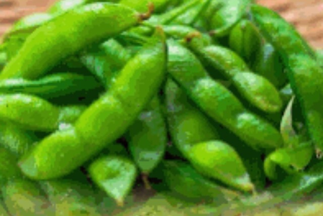 やきとり 串和華 - 羽後本荘（焼き鳥）の写真