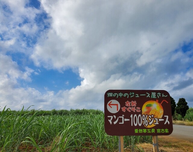 畑の中のジュース屋さん 宮古島市 ジュースバー 食べログ