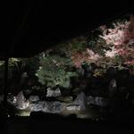 Koudaiji Hashiba - 桃山時代の典型的な枯山水の書院庭園