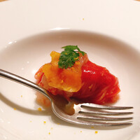 SCALAE - 