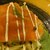 五右衛門 - 料理写真:サーモンとたっぷり野菜の 冷製サラダスパゲッティー＠五右衛門