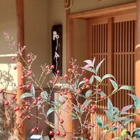 奈良 而今 - 