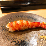 木挽町 とも樹 - 車海老のにぎり