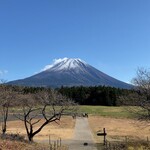 とび魚 - 薄化粧の富士山（おまけ）