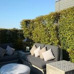 パレスホテル東京 クラブラウンジ - テラス席