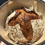 ル スプートニク - 2020/11