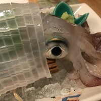対馬のどぐろとイカ活き造り 博多 魚蔵 都ホテル店 - 君を食べに横浜からやってきましたよ