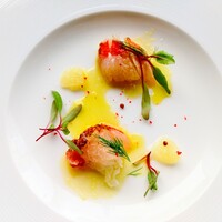 boB the garden Ginza - 真鯛と蕪のカルパチョ