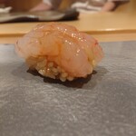 鮨 猪股 - 甘海老