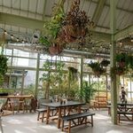 Green cafe GROUNDS - 