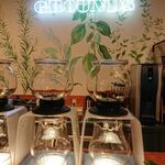 Green cafe GROUNDS - 