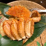 四季の郷　喜久屋 - 