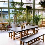 Green cafe GROUNDS - 