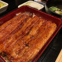 うなぎ 目白ぞろ芽 - 