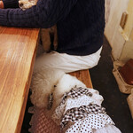 北出食堂 - ふたり共おネムに・・