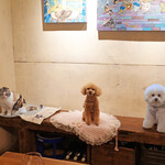 北出食堂 - イヌとネコの違いが顕著！！