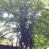 ひろ文 - 