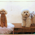 北出食堂 - ’ディスタンス’