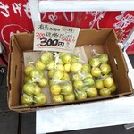 マミーズカフェ - 有馬さんちの辺塚だいだい