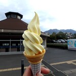 道の駅 桜島 火の島 めぐみ館 - 小みかんソフト￥250