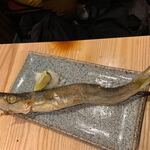 夜ノ焼魚 ちょーちょむすび - 【本かます焼】♫2020/10
