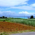 パーラーみんぴか - オープンテラスからの景色（2012年）