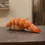 鮨 なんば - 車海老