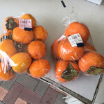 道の駅 織部の里もとす - 柿を買いました(左が干柿用の蜂屋柿)