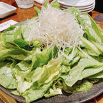 焼肉 スタミナ苑 - 本日のサラダ
