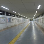 いわし亭 - JR君津駅の跨線橋。電車の到着は20分に一度くらい、誰もいない絵が撮れました