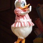 ケープコッド・クックオフ - （2012/7月）ショー