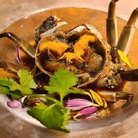 四川料理 龍の子 - 