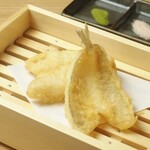 Sushi Sake Sakana Sugi Dama - キスの天ぷら