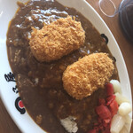 日乃屋カレー - 