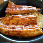 8/5　うなぎをアップ