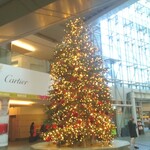 La Brianza - 森ビルにはクリスマスツリーが灯ってました。